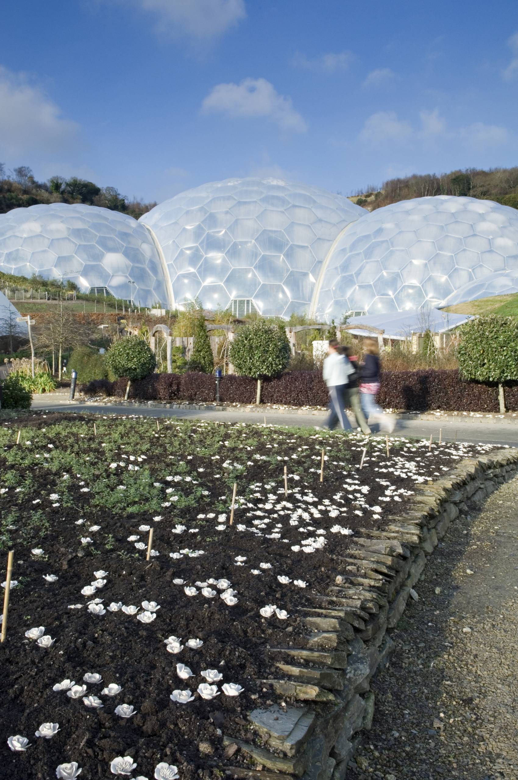 clay flower installation at the Eden Project