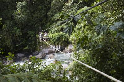 zip wire crossing in rainforest