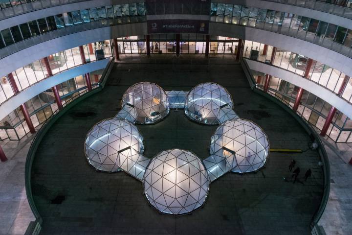 artwork installation of 5 connected biomes
