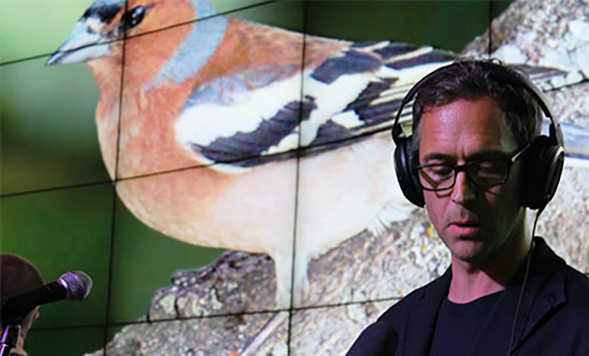 man in headphones in front of a projection of birds