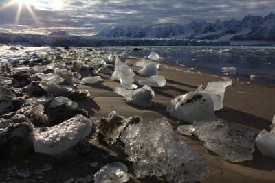 icebergs on the beach in an arctic landscape