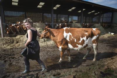 woman in dress leads milking cow