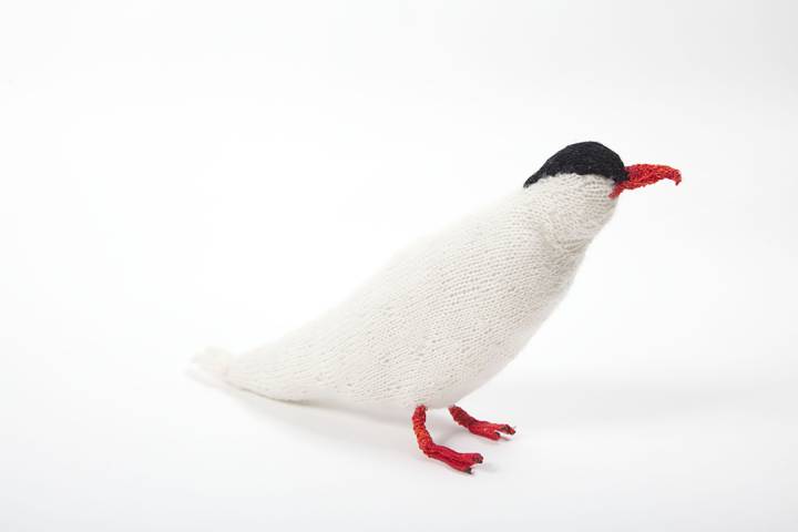 knitted arctic tern