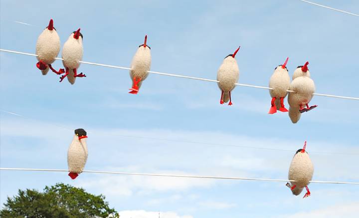 knitted birds on wire
