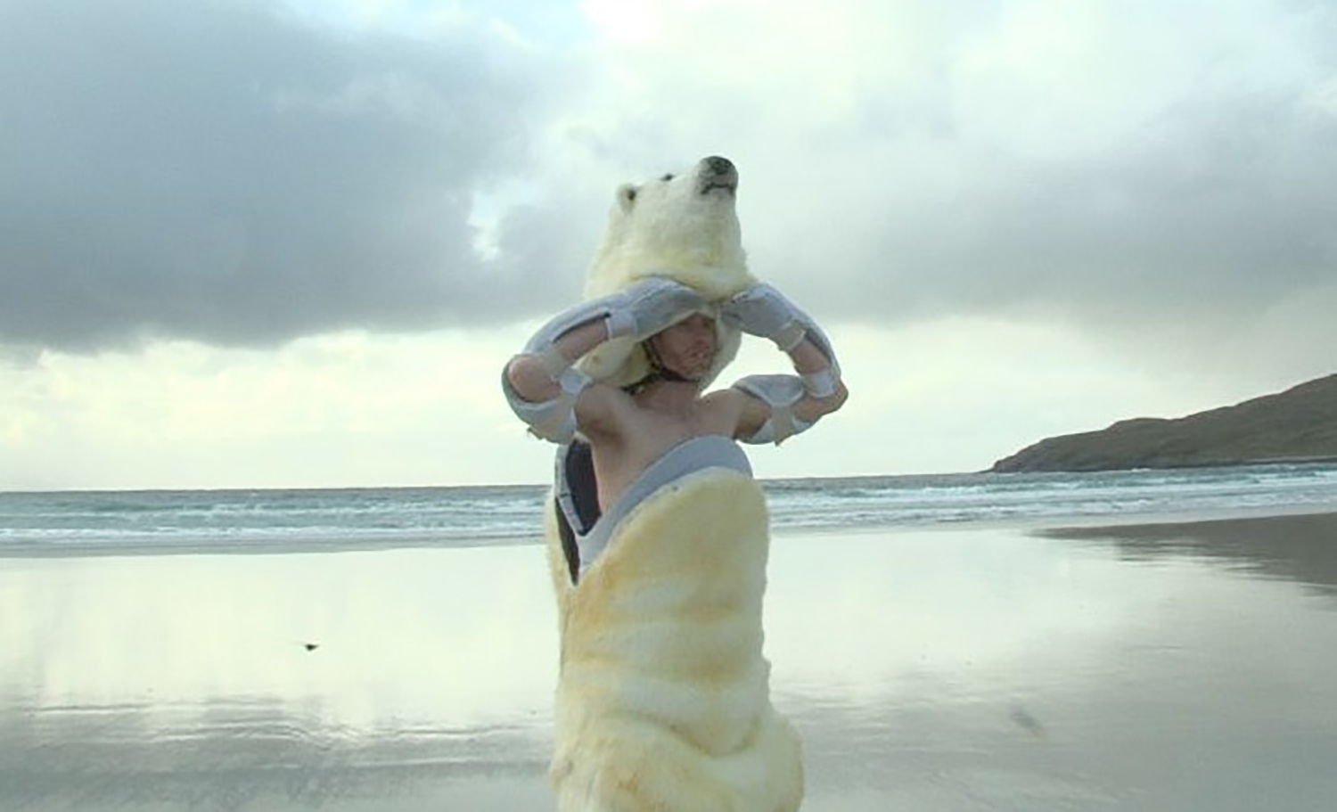 man in polar bear costume emerges from the sea