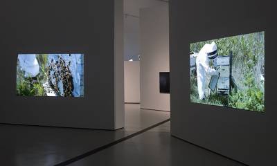 exhibition installation view